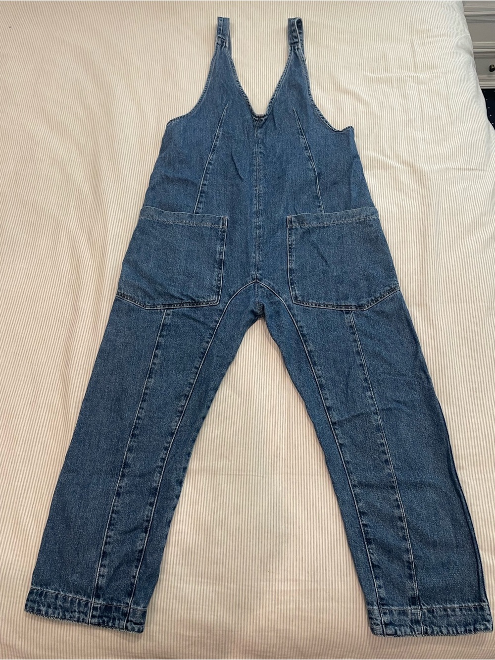 We The Free Light Blue Denim Overalls with Dark Trim